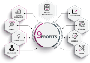 9PROFITS Ansatz für IT-Provider-Management