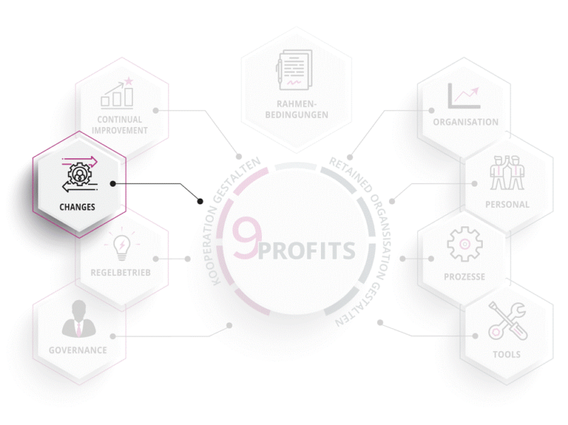 Providermanagement Framework 9PROFITS: Projekte mit Providern