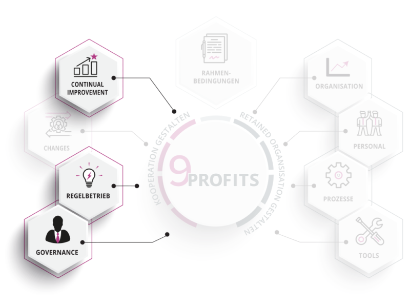 Providermanagement Framework 9PROFITS: Provider Managen