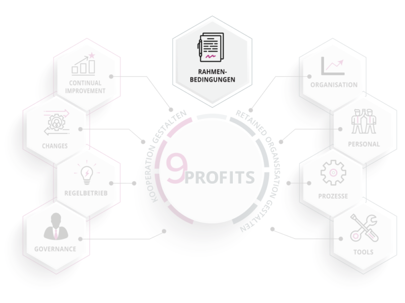 Providermanagement Framework 9PROFITS: Rahmenbedingungen