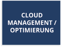 Cloud-Sourcing - Management / Optimierung